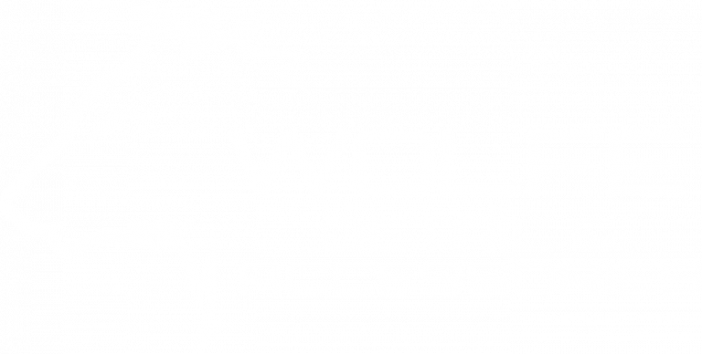 Wolfe Detail