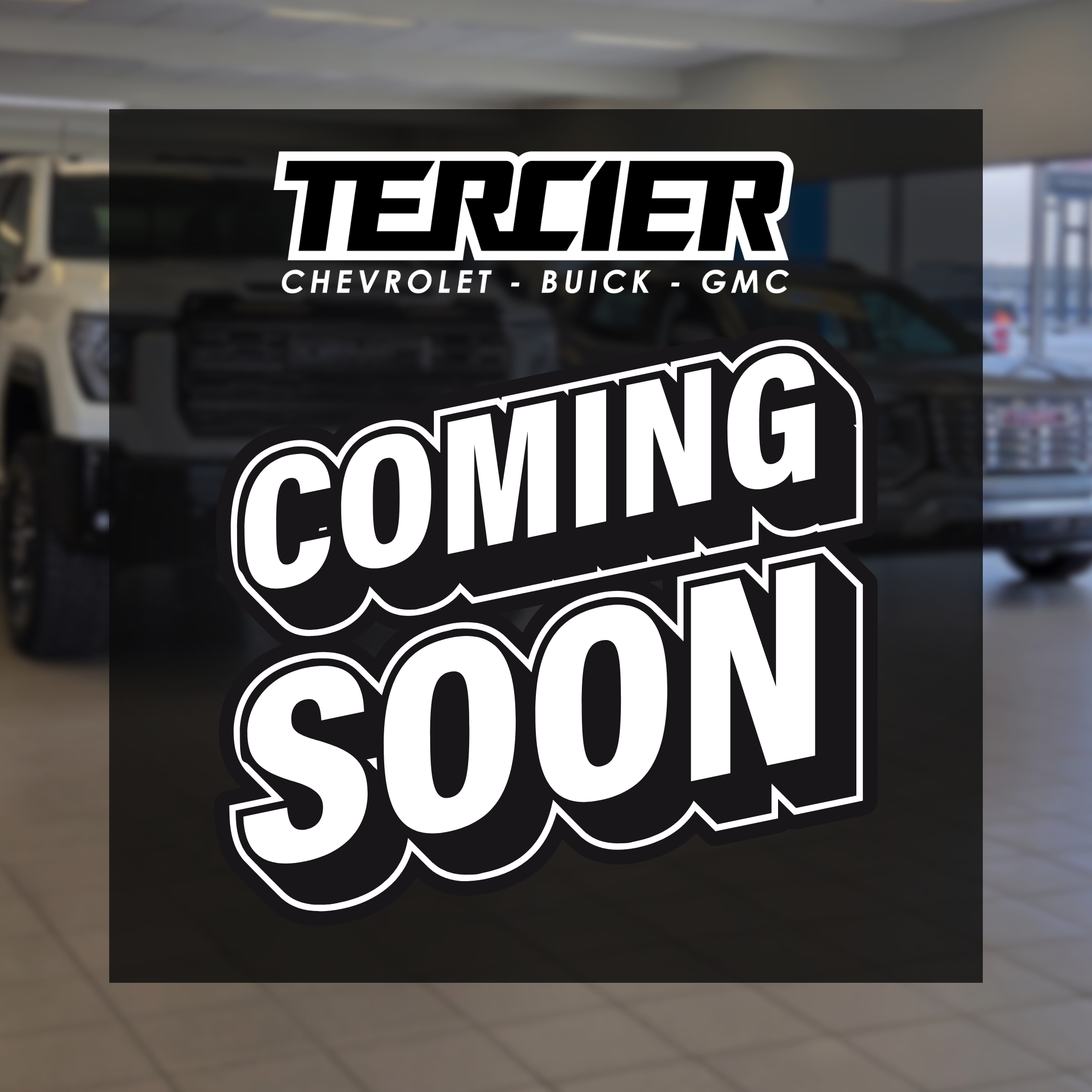 Darcy Tercier