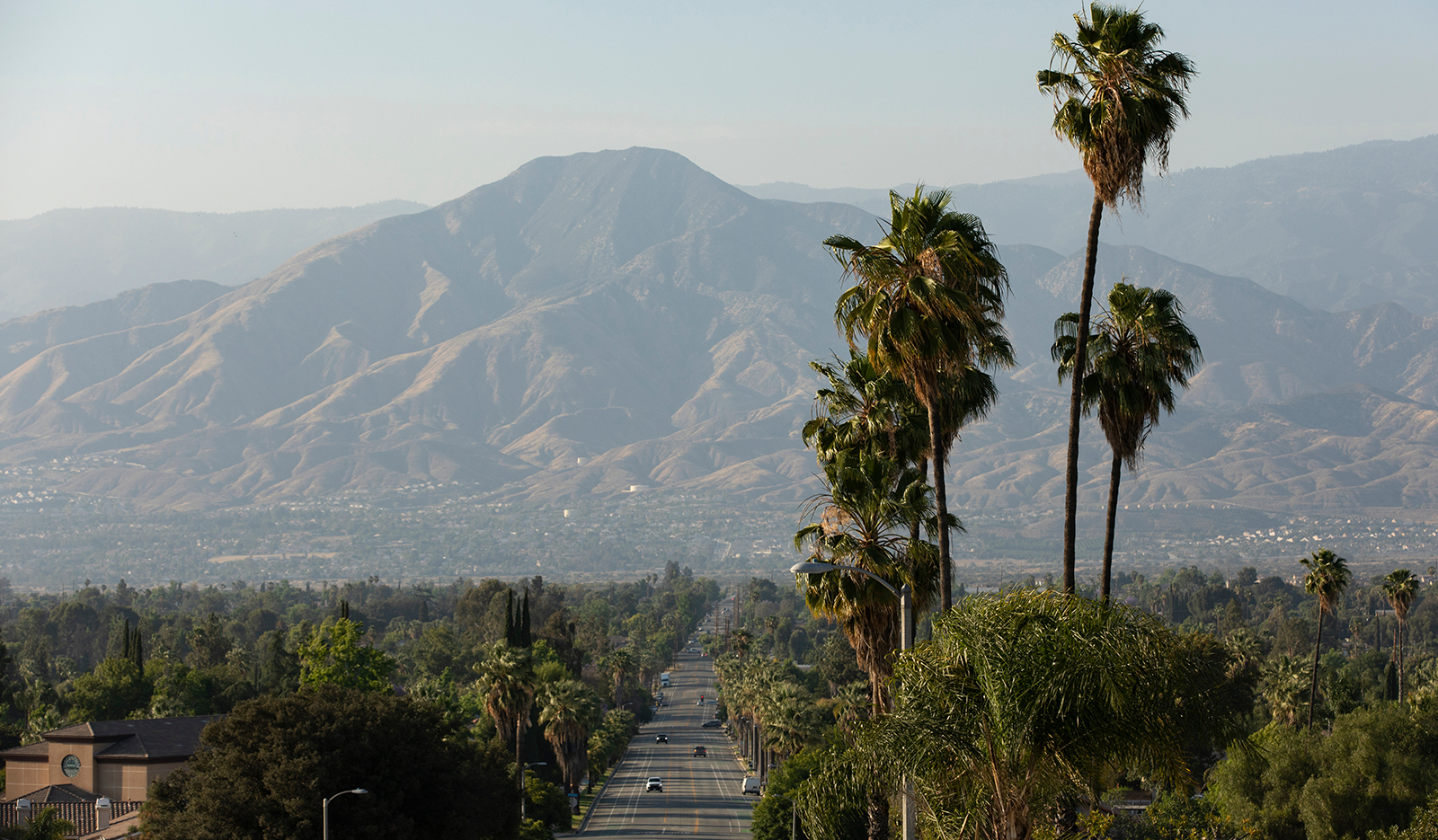 Location image - view of road between palm trees with a large mountain in the background