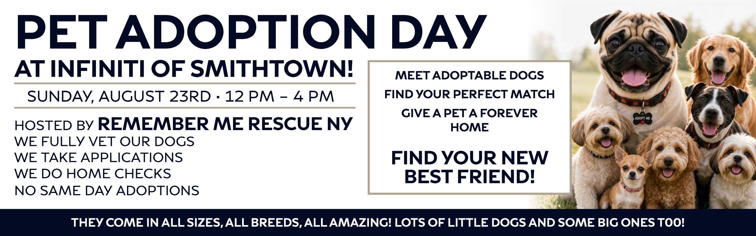 Pet adoption day