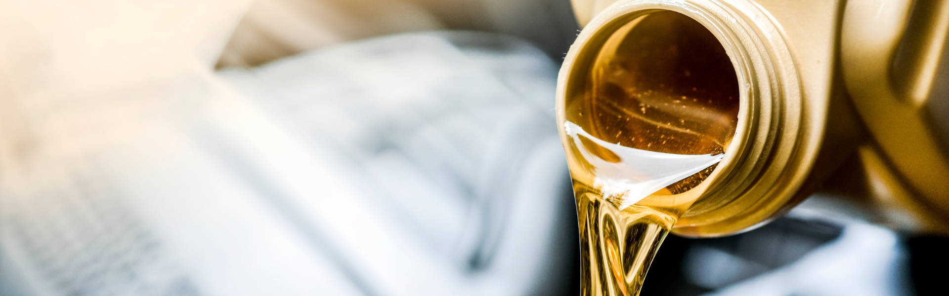 Professional oil change service at Shaganappi GM Calgary