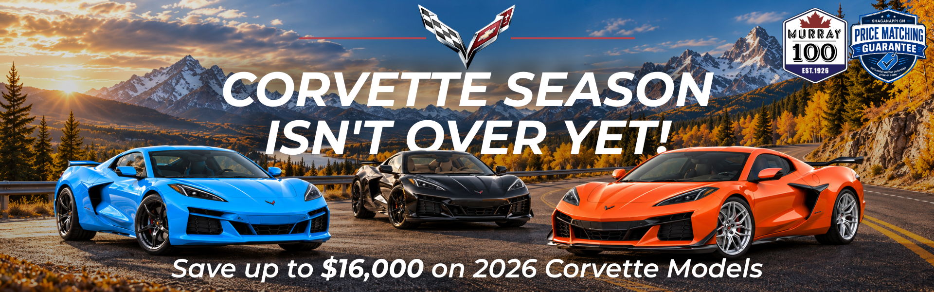 Corvette Web
