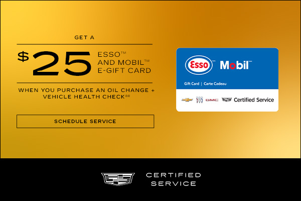 $25 ESSO and Mobile E - Gift Card