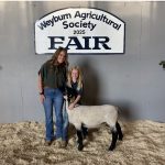 Weyburn 4h sale