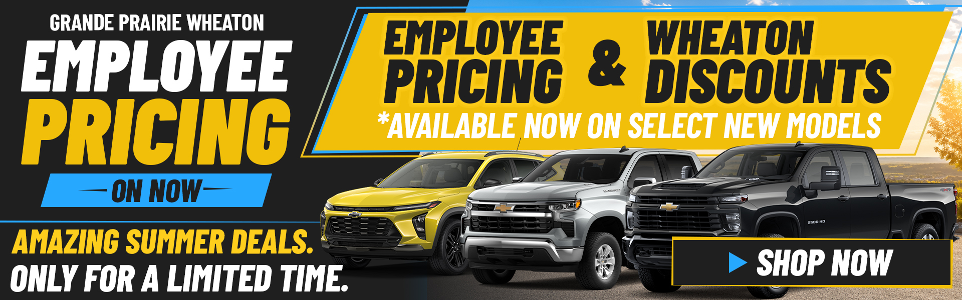 GM Employee Pricing in GP