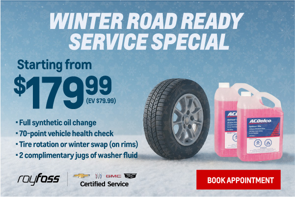 Winter Road Ready Service Special