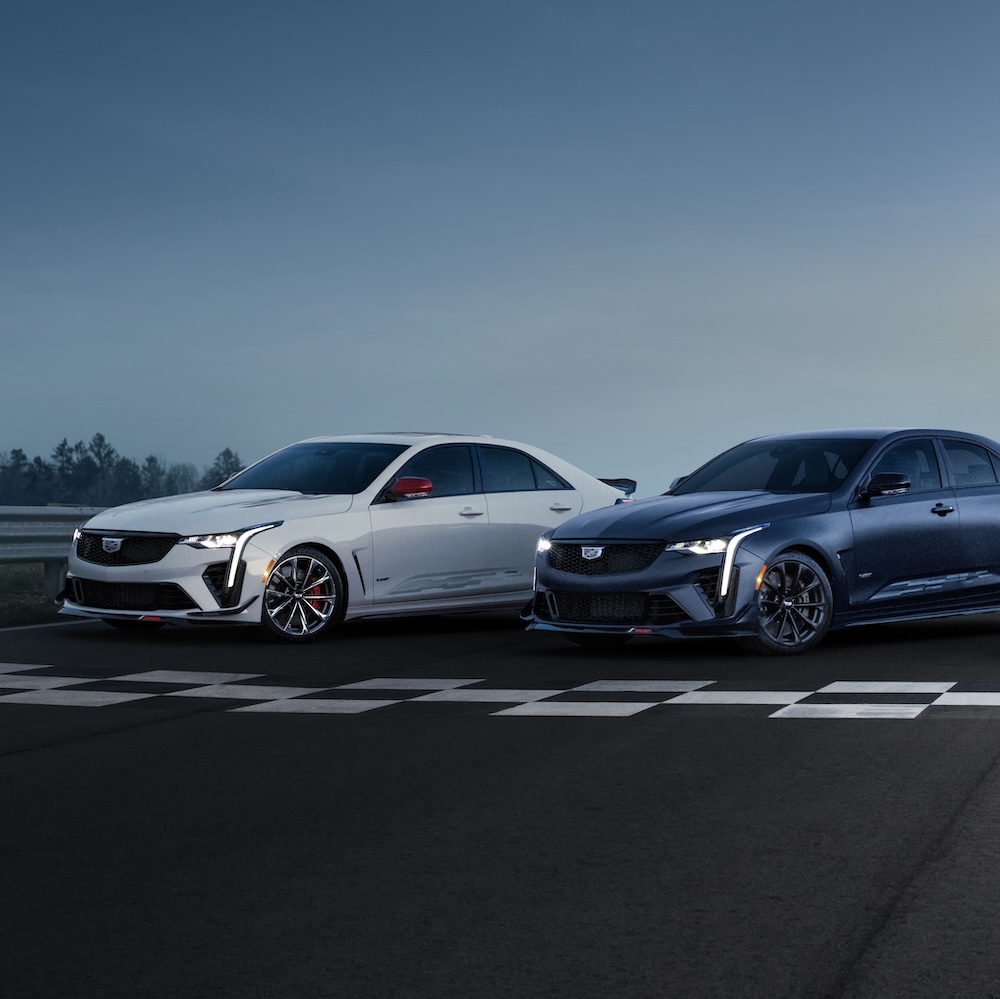 Senior's Thursdays - 15% OFF SERVICE!