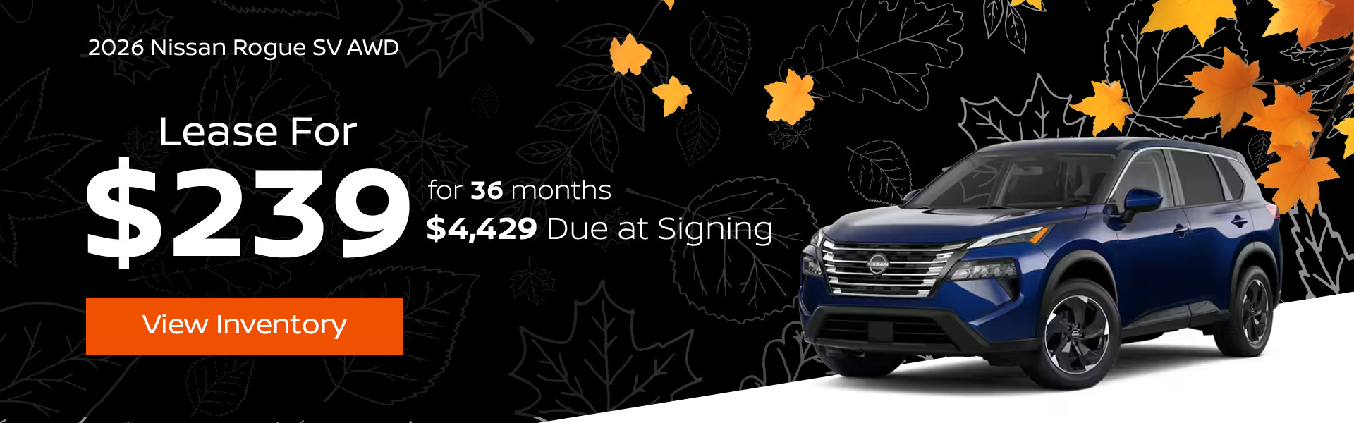 Rogue Offer hp rogue