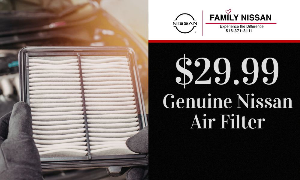 Air Filter