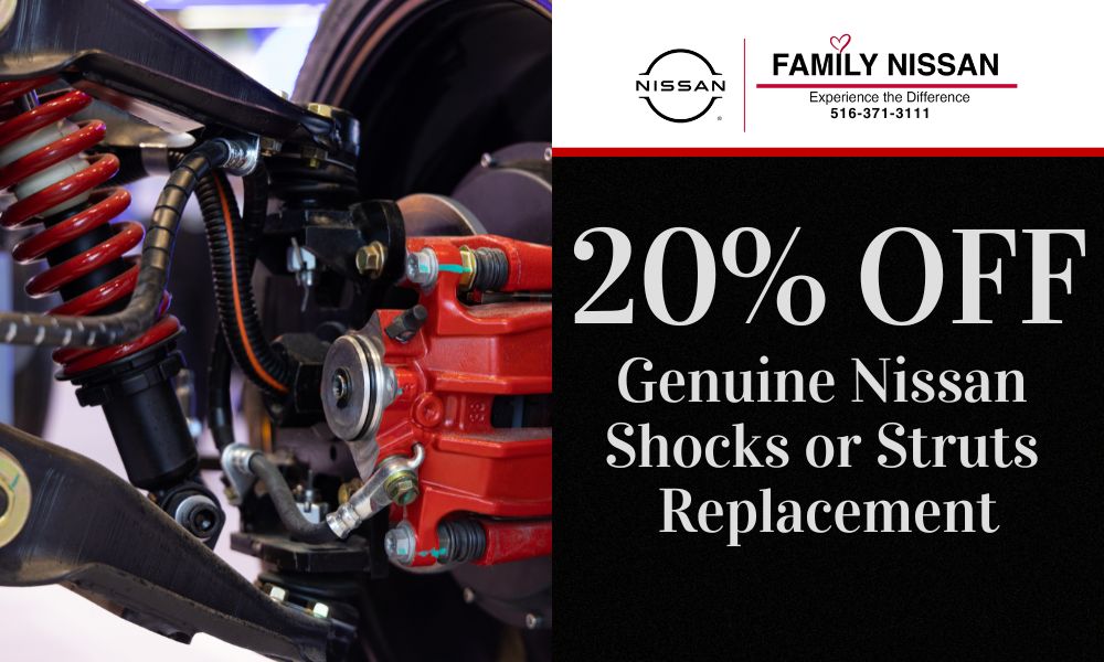 Shocks and Struts