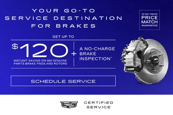 Check Your Brakes