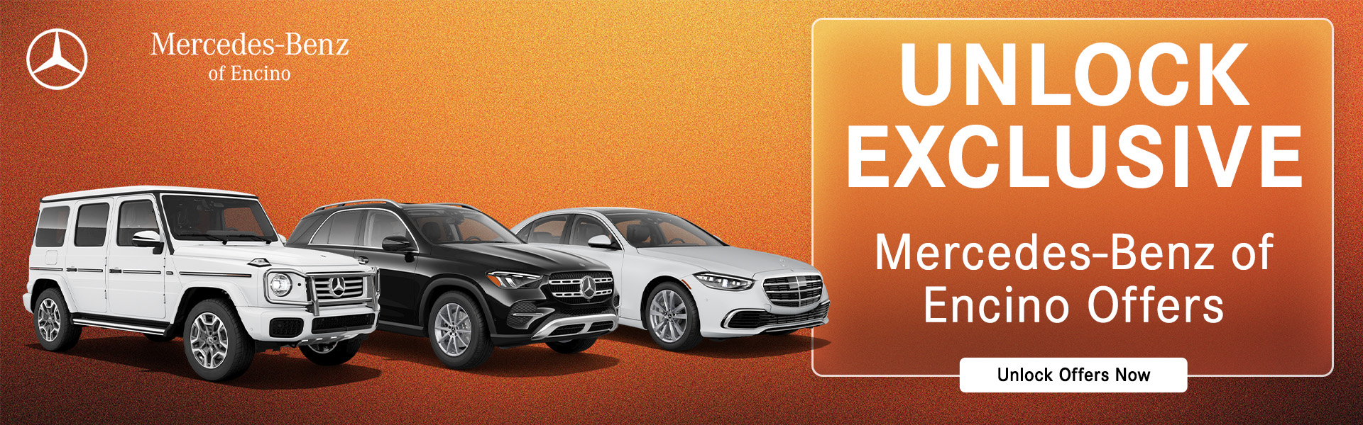 Exclusive Offers