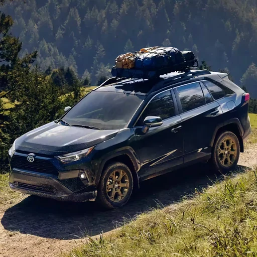 RAV4 Hybrid