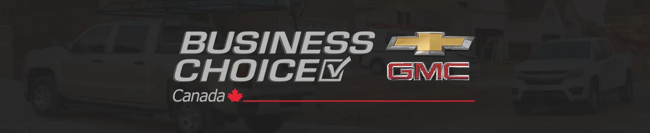 bussiness-choice-image