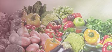 food-recue
