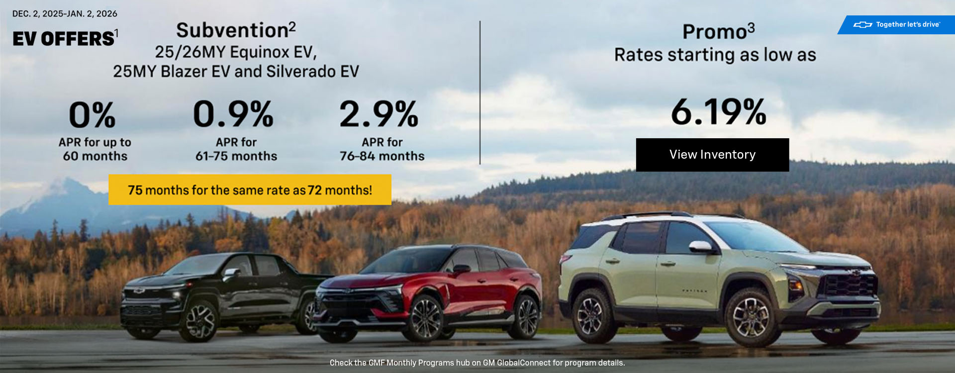 Amazing offers on EVs!