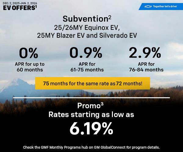 Amazing offers on EVs!