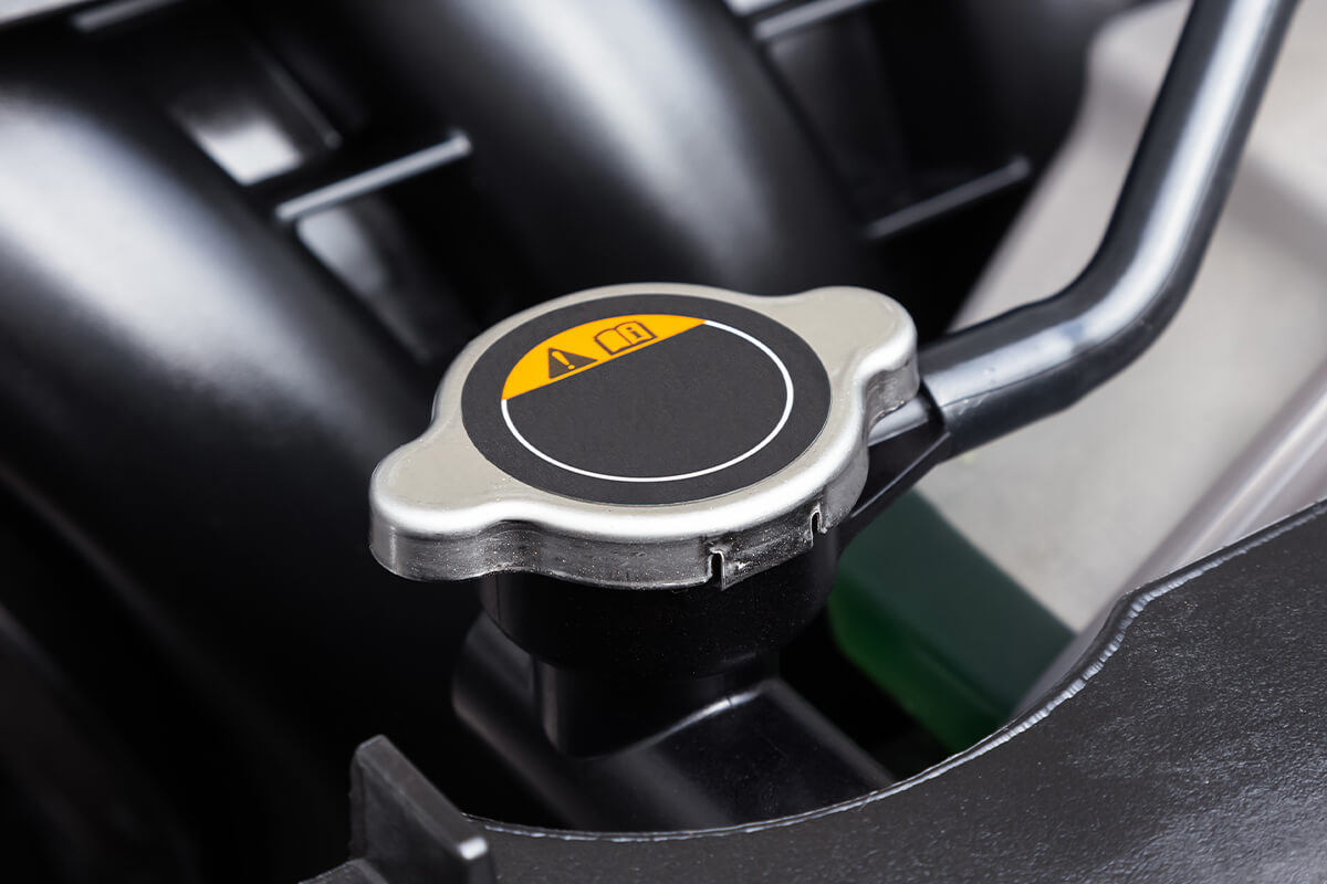 Brake Fluid Exchange