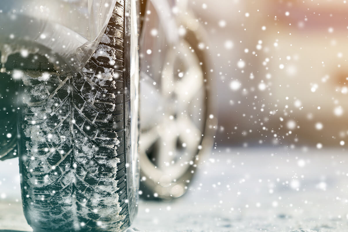 Holiday Savings Winter Savings