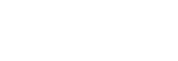 CARS/HYBRIDS/EVS