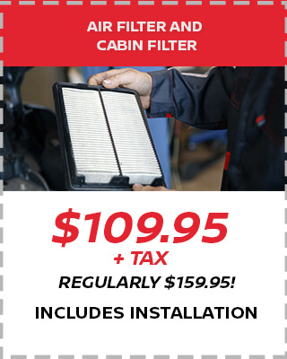 Air Filter and Cabin Filter
