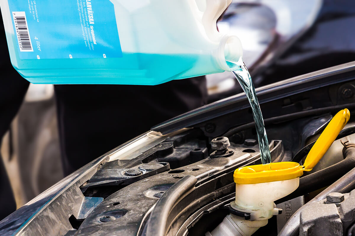 Antifreeze Special