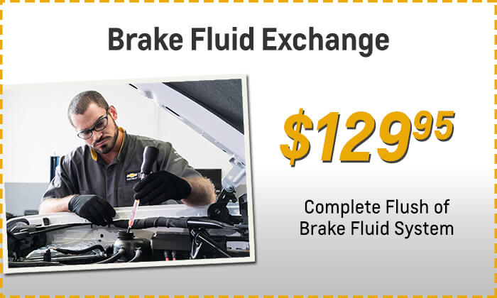 Brake Fluid Exchange
