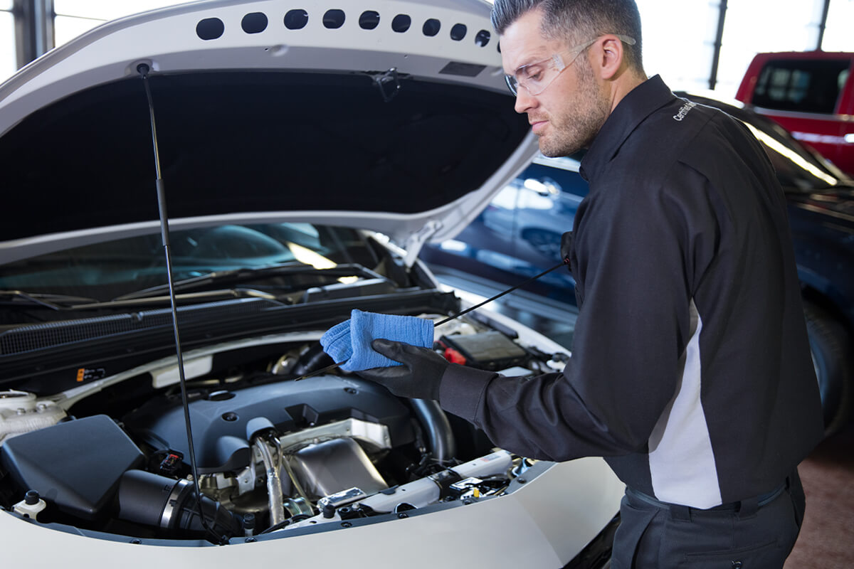 Oil & Filter Change