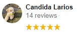 , Google Review Review