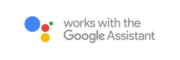 2019 Nissan Leaf Google Assistant