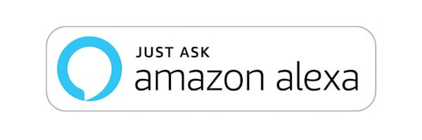 2019 Nissan Rogue Amazon Alexa