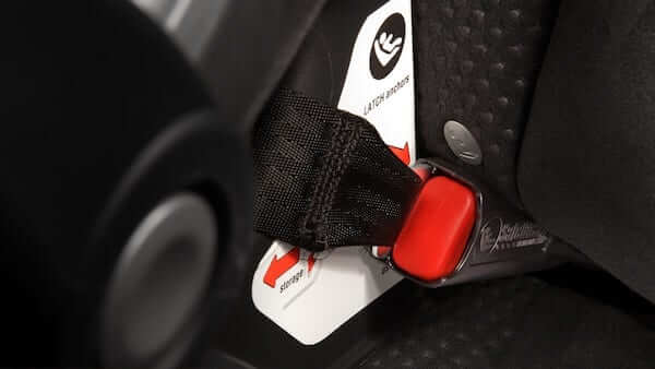 2019 Nissan Rogue Precious Cargo