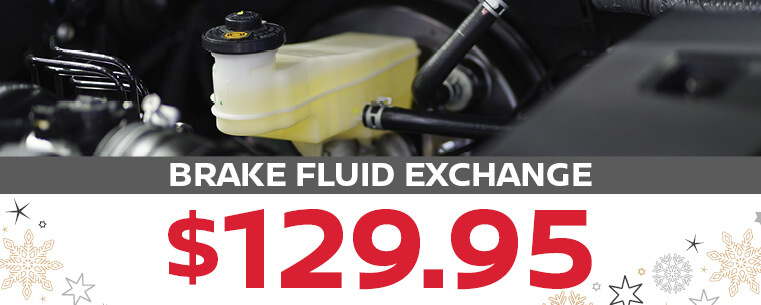 Brake Fluid Exchange