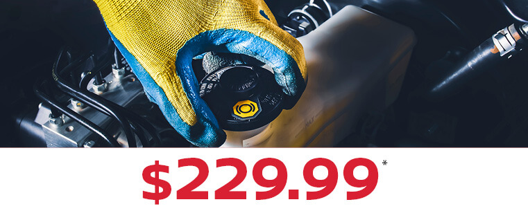 Brake Fluid Exchange