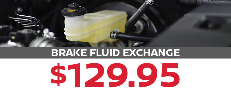 Brake Fluid Exchange