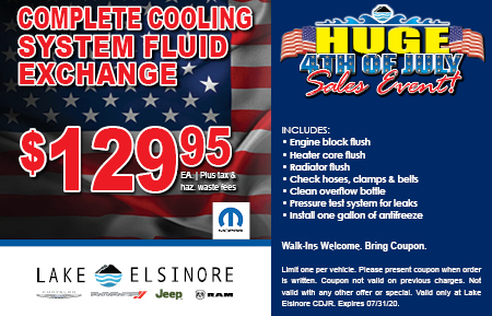 COMPLETE COOLING SYSTEM FLUID EXCHANGE