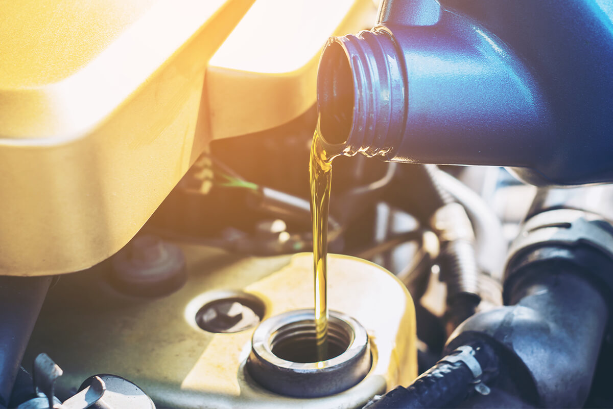 OIL & FILTER CHANGE