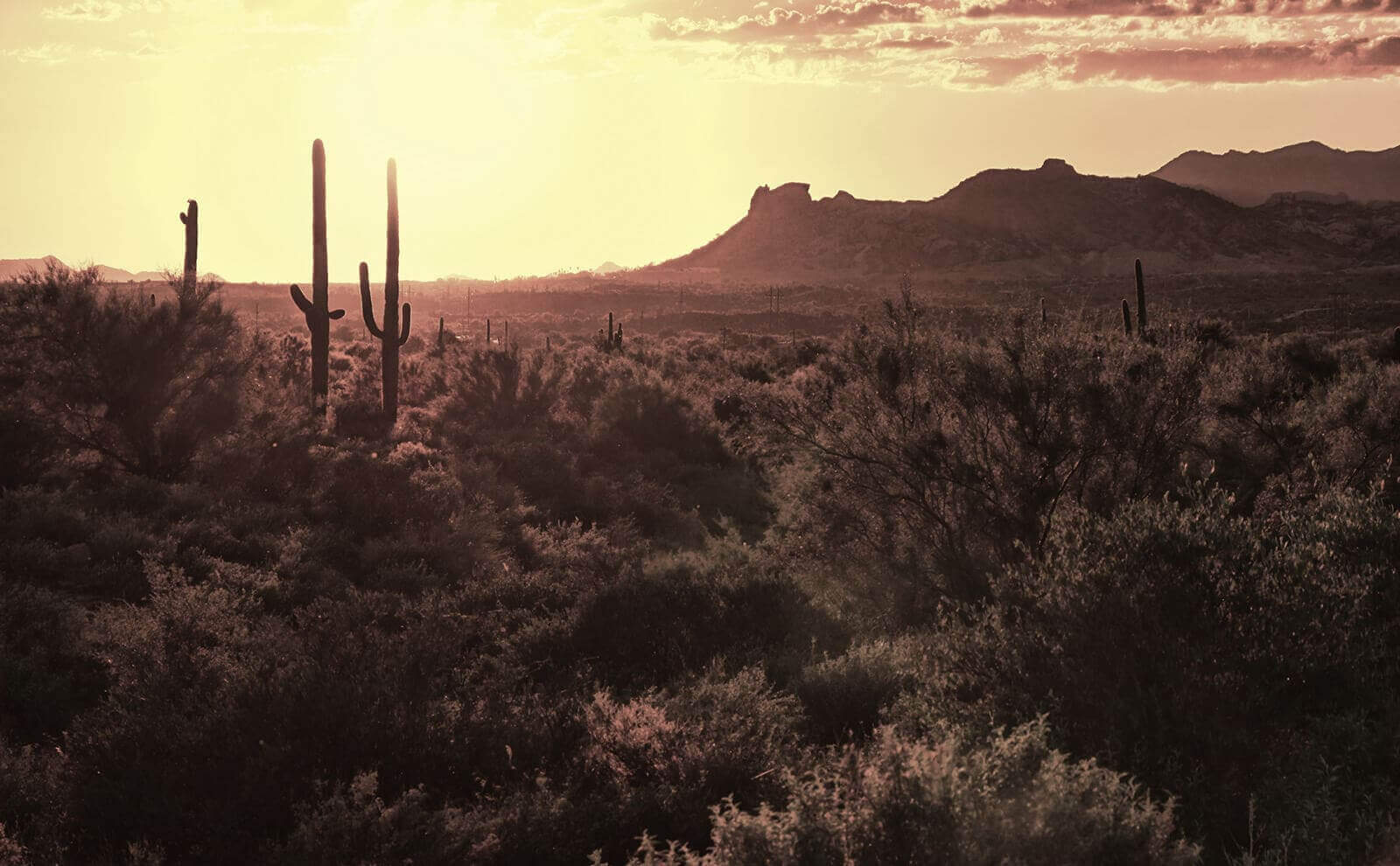 Right Toyota Serving Scottsdale And Phoenix Arizona Right toyota serving scottsdale and phoenix arizona