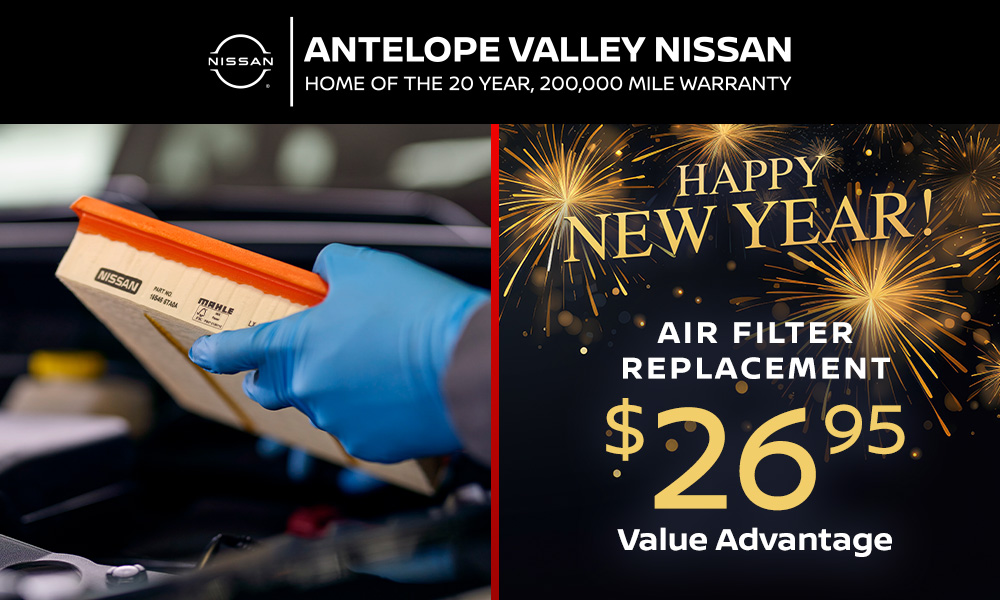 Air Filter Replacement