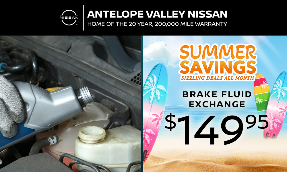 Brake Fluid Exchange