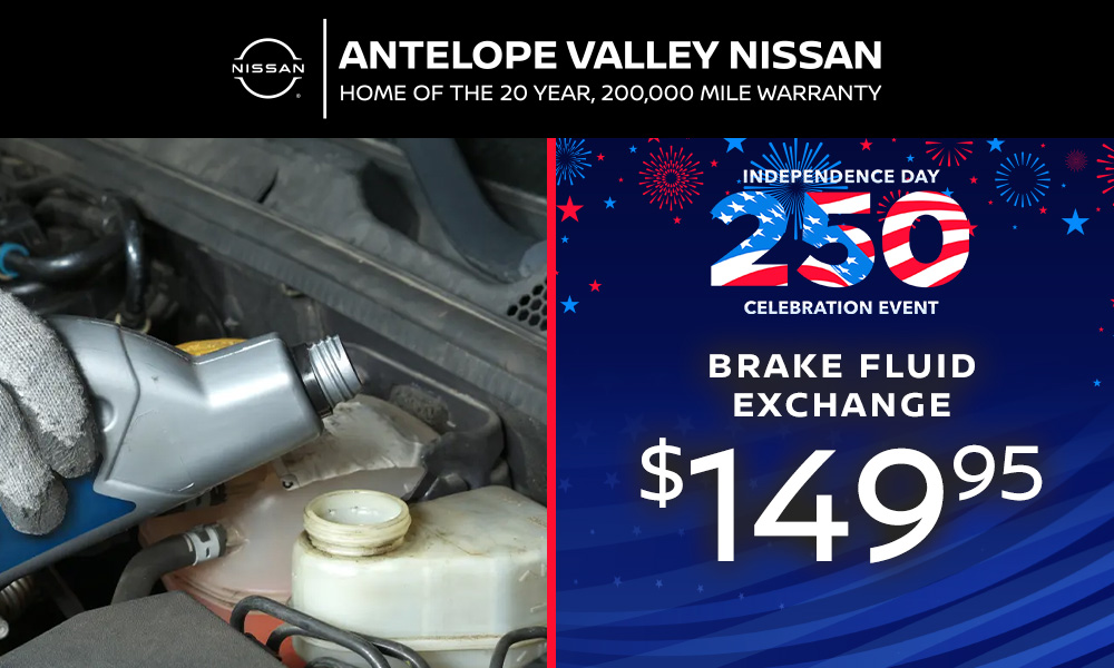 Brake Fluid Exchange
