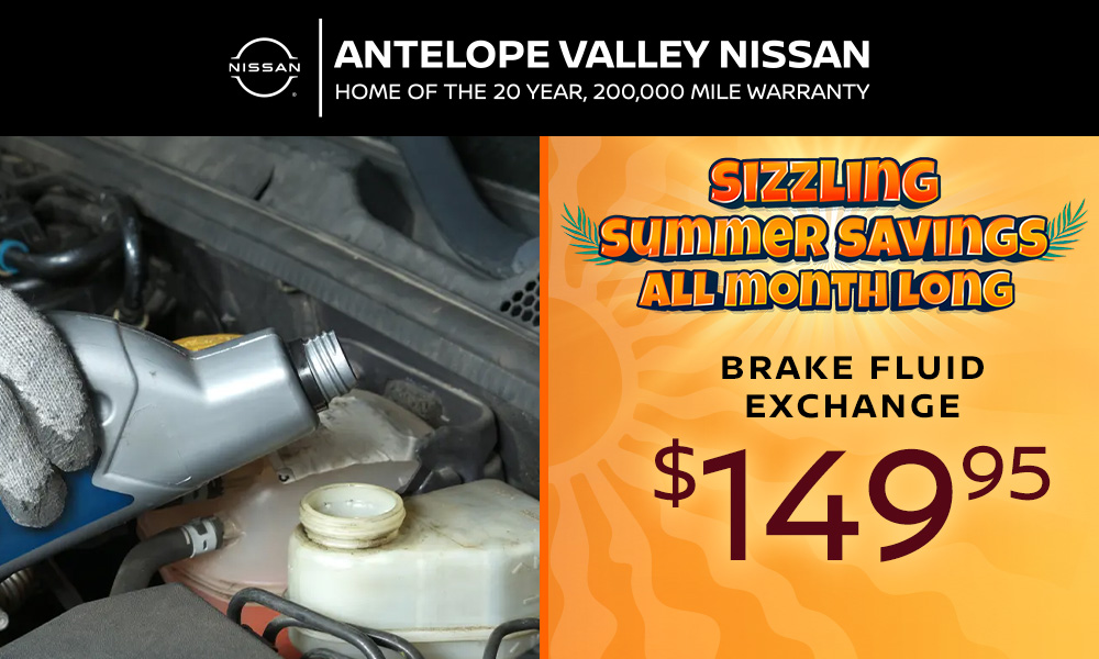 Brake Fluid Exchange