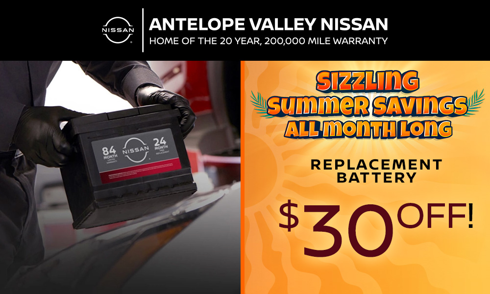 Replacement Battery