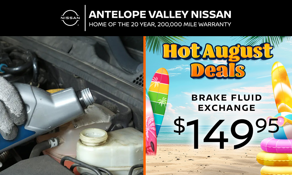 Brake Fluid Exchange
