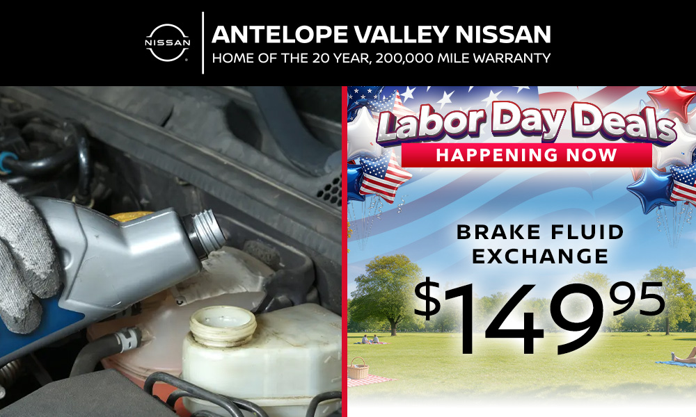 Brake Fluid Exchange