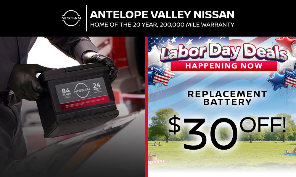 Replacement Battery
