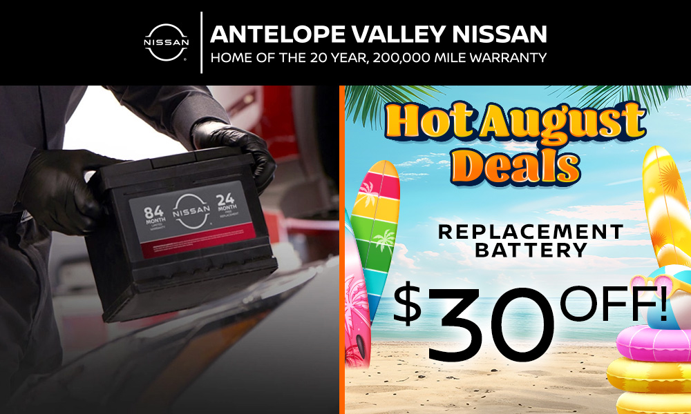 Replacement Battery