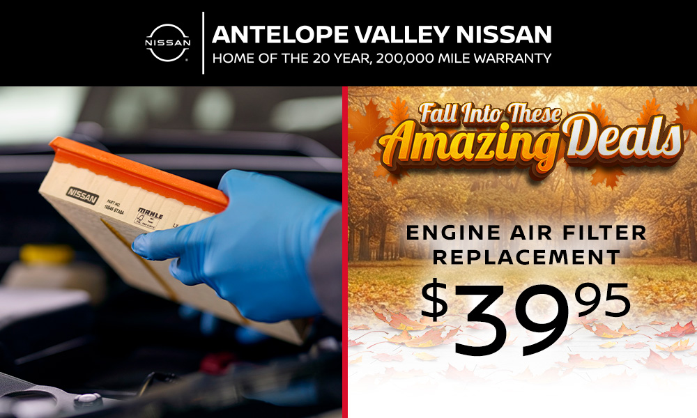 Engine Air Filter Replacement
