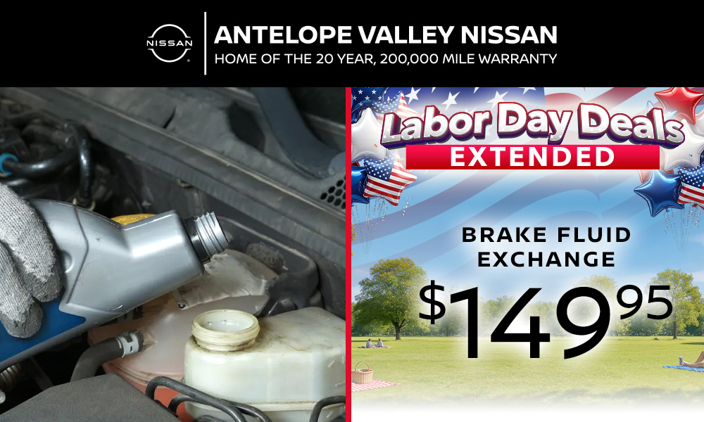 Brake Fluid Exchange