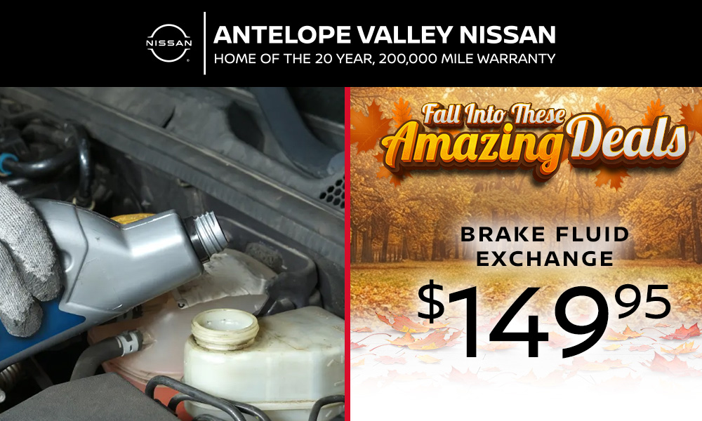 Brake Fluid Exchange